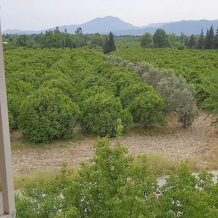 Koycegiz'de Ki Tas Eviniz Koycegiz (Mugla)