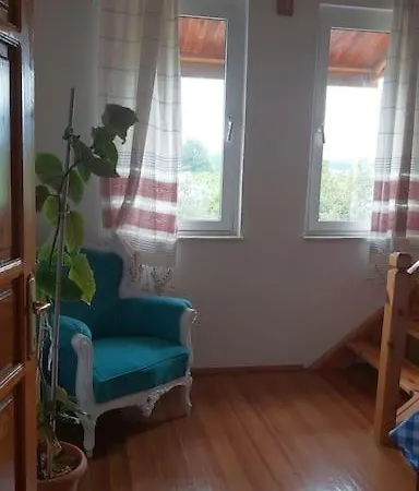 Koycegiz'de Ki Tas Eviniz דירה